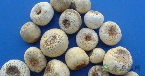 法夏的药用价值_法夏的副作用