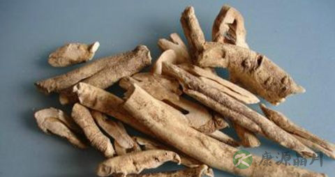 土槿皮的药用价值_土槿皮的副作用