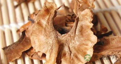 核桃分心木的功效与作用