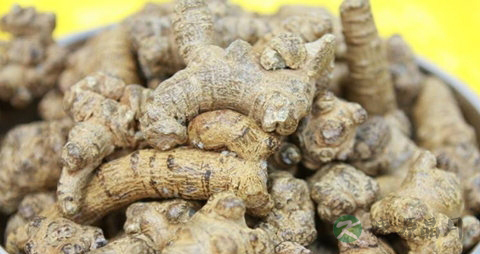 田七的功效与作用及食用方法