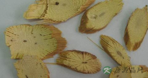 川木通的药用价值_川木通的副作用