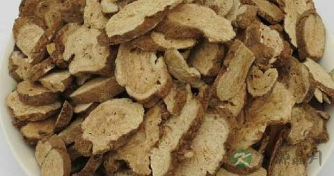 白术的药用价值_白术的副作用