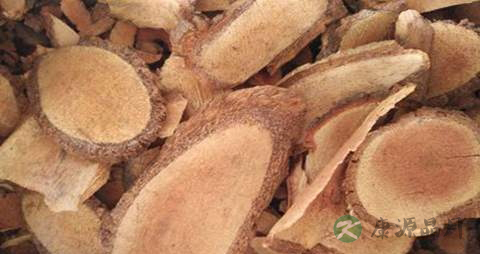 藤梨根的药用价值_藤梨根的副作用