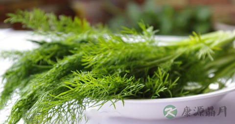 茴香的药用价值_茴香的副作用