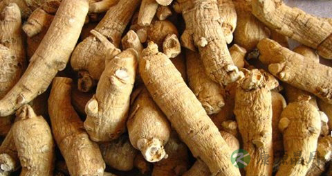 西洋参的药用价值_西洋参的副作用