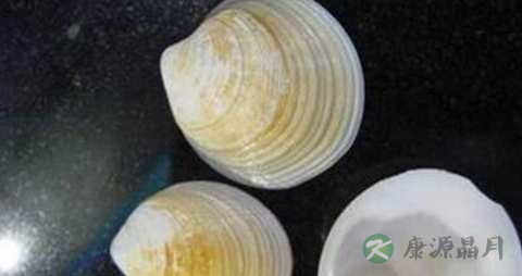 瓦楞子的药用价值_瓦楞子的副作用