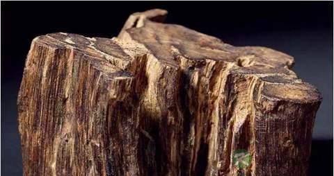 沉香的功效与作用