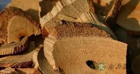 藤梨根的药用价值_藤梨根的副作用
