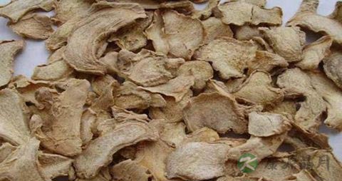茯苓皮的药用价值_茯苓皮的副作用
