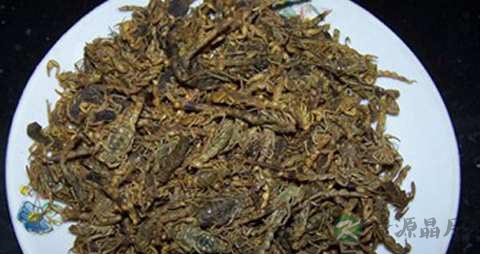 全蝎的功效与作用
