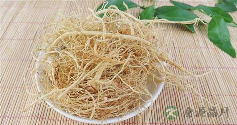 人参须的功效与作用