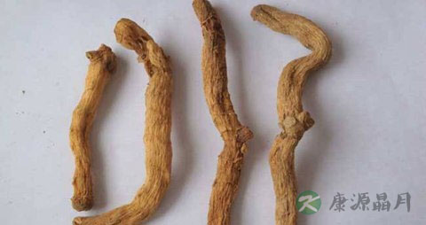 竹节参的药用价值_竹节参的副作用