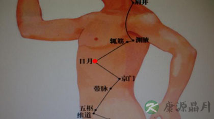 辄筋穴在哪里_辄筋穴的准确位置图