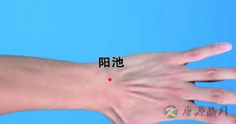 手脚凉灸哪里