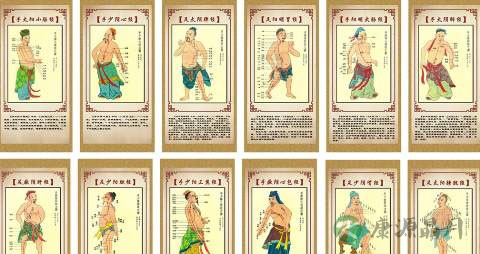 神经和经络有什么区别