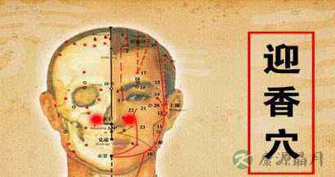 泪囊按摩手法