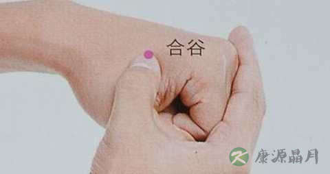 手的虎口有什么穴位