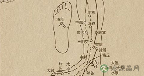 照海穴在哪只脚