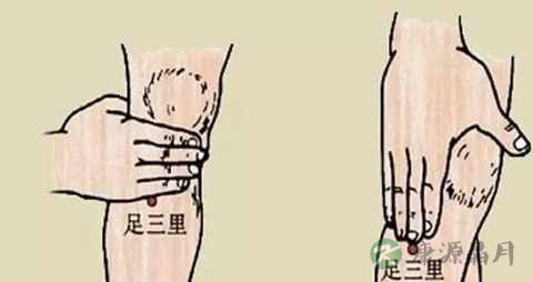 足三里穴位置在哪里
