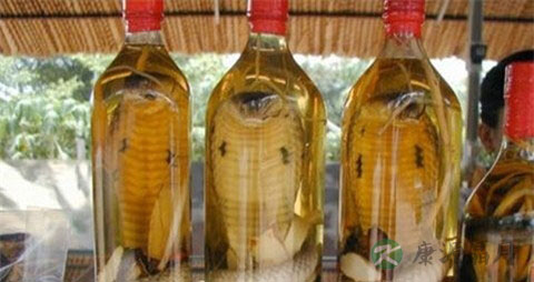 什么蛇泡药酒最好