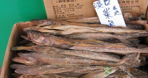 吃柴鱼会上火吗
