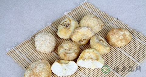 猴头菇可以治疗胃病吗