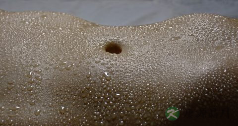 复方仙鹤草肠炎片的功效