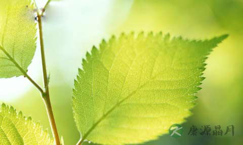 夏日湿气重 9秘方祛湿又健脾