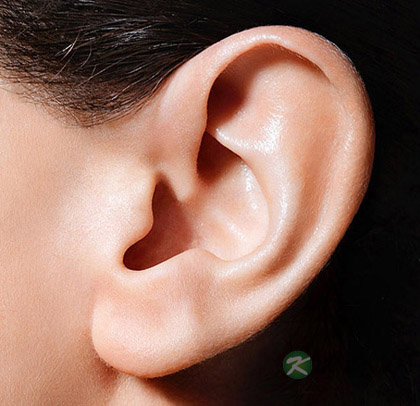 摸耳朵也能保健养生