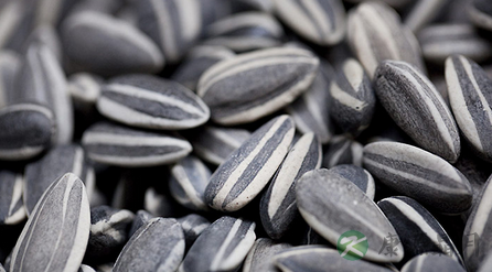 10种常见食品是健康杀手