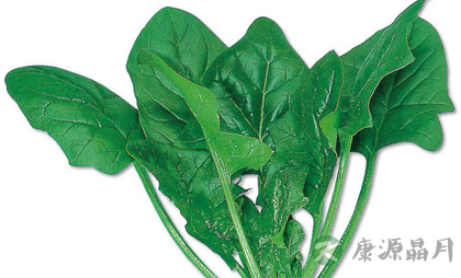 吃什么养胃:六种蔬菜促进夏季养胃 吃什么养胃:六种蔬菜促进夏季养胃