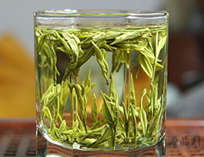 白茶保健养生功效多