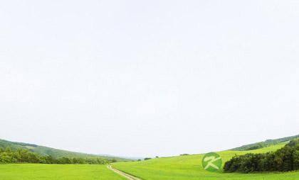 踏青，关爱了你的肺