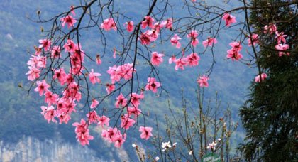 春分养生：早起养阳气