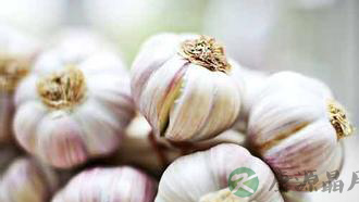 常吃大蒜可杀菌 多吃会得脂肪肝 常吃大蒜可杀菌 多吃会得脂肪肝