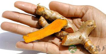 烂姜不烂味 吃烂姜当心吃出肝癌