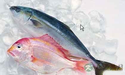 健康俗语真伪辨