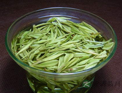 白茶保健养生功效多