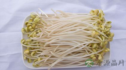 12种减肥食物打造完美身材