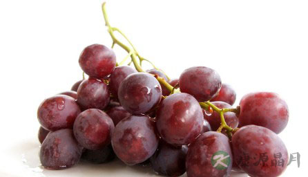 良“食”苦口：8种难吃食物最养人