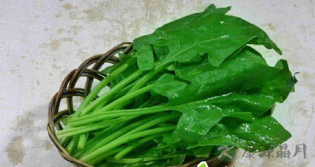 养生警惕 长期素食小心脑出血