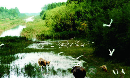 湿地与人类息息相关