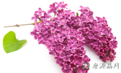 简单经济清新空气法