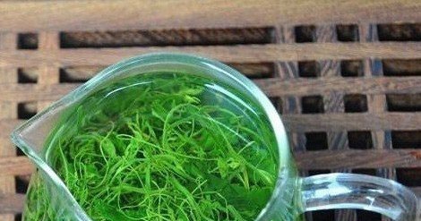 夏季养生首要清心火