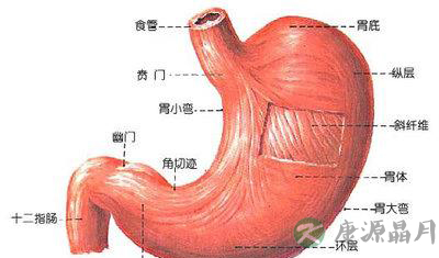 提醒 胃癌常见的五大早期症状 提醒 胃癌常见的五大早期症状
