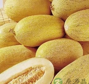 常见的十种最脏美食 你吃过多少