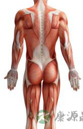 腰背痛的病因分类