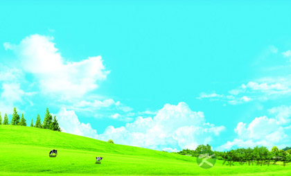 踏青，关爱了你的肺