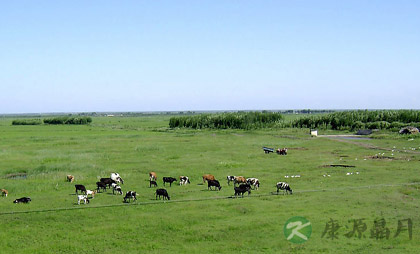 踏青，关爱了你的肺