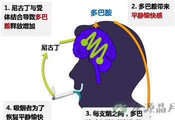 轻松戒烟不难，选对方法是关键